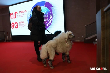 Источник: Артем Устюжанин / MSK1.RU