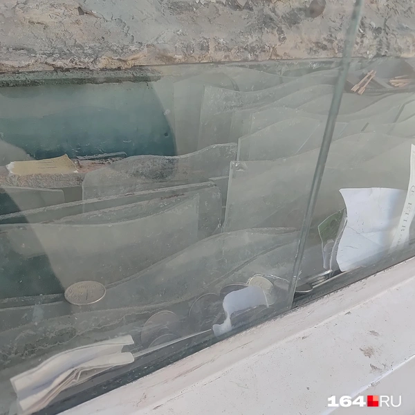 Источник: Сергей Гендин / 164.RU