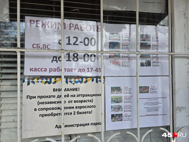 Источник: Алёна Кисель / 45.RU 