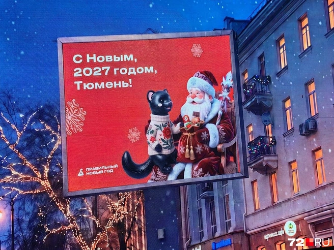 А как вам такой сюжет? Да, и соболи хотят получать подарки | Источник: Павел Красоткин / 72.RU
