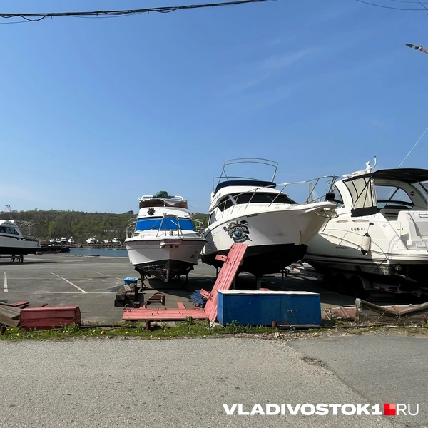 Источник: Елена Буйвол / VLADIVOSTOK1.RU