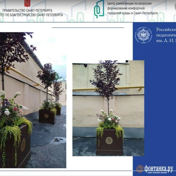 Пробное контейнерное озеленение в РГПУ им. Герцена | Источник: Конференция «Формирование комфортной городской среды»