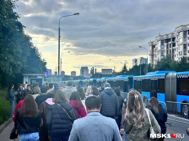 Люди вереницей растянулись от выходов из метро и МЦК ко входу в «Лужники» | Источник: Читатель MSK1.RU
