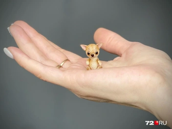 Посмотрите, какая крошка! Маленьким куклам — малюсеньких игрушечных питомцев | Источник: личный архив Анастасии Верхозиной