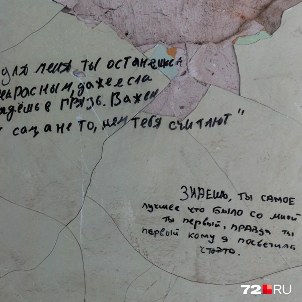 Источник: Ирина Шарова / 72.RU