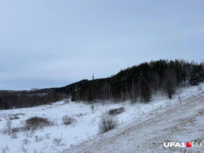 А здесь&nbsp;— красивый лесистый холм | Источник: Андрей Бирюков / UFA1.RU