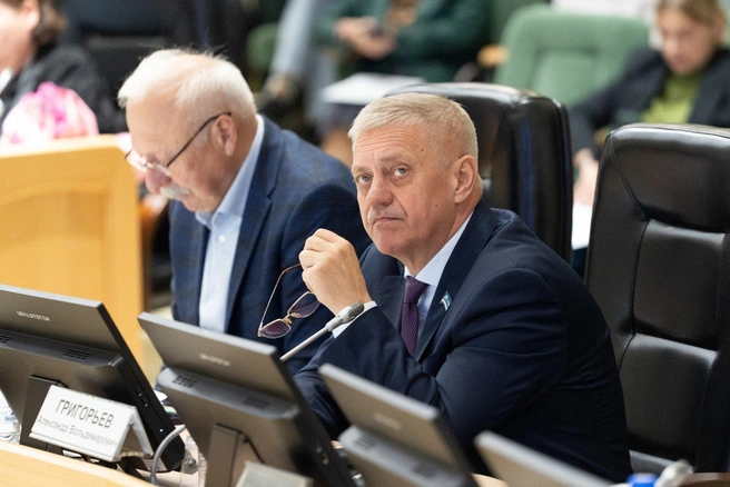 Источник: информационно-аналитический отдел Тюменской городской думы