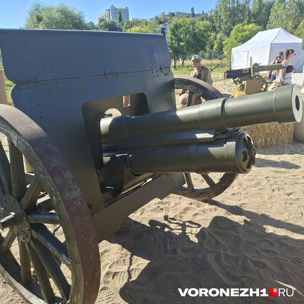 Источник: Алёна Воропаева / Voronezh1.ru