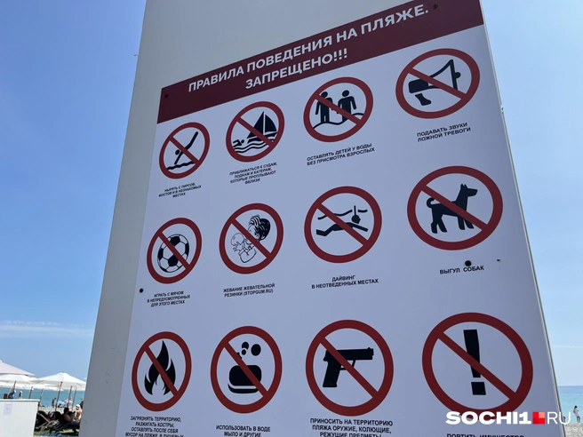 А дышать можно? | Источник: Анна Грицевич / SOCHI1.RU