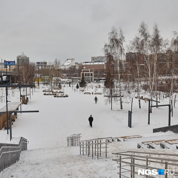 Мэр Новосибирска сообщил, что в парке проложили инженерные сети, построили лестницу и пешеходные дорожки, смонтировали ливневку и освещение | Источник: Александр Ощепков / NGS.RU