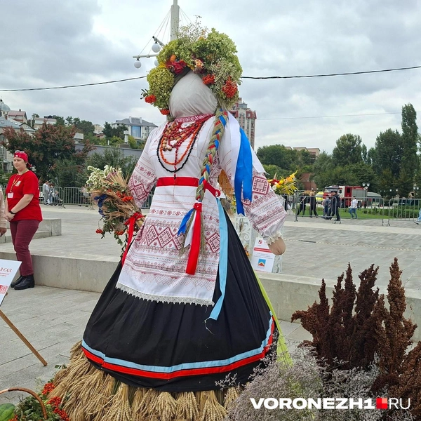 Источник: Алёна Воропаева / Voronezh1.ru