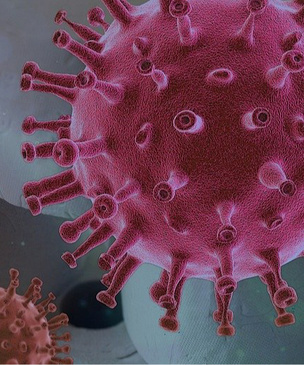 Нобелевский лауреат по медицине заявил, что коронавирус сделали в лаборатории