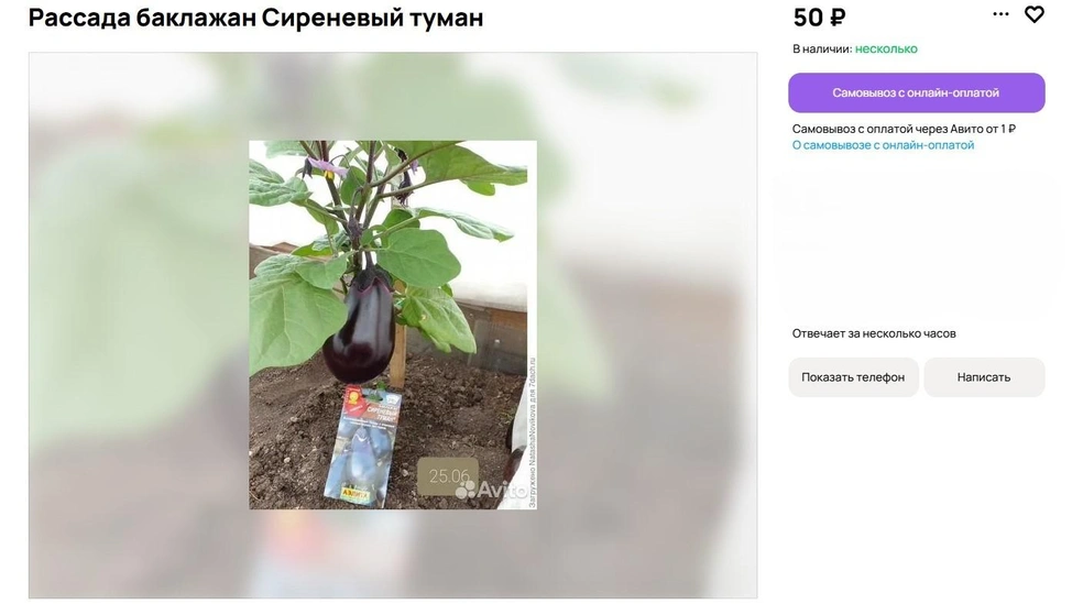 Источник: Avito.ru