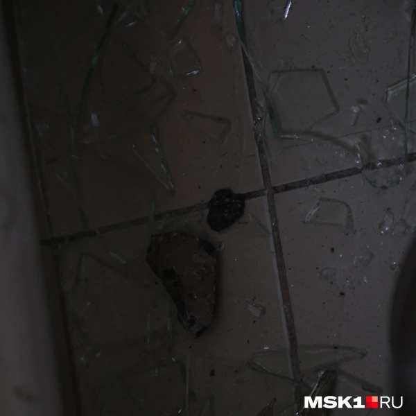 Источник: Дмитрий Толстошеев / MSK1.RU