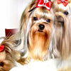 userpic__Medeya22