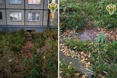 Глава СК взял на контроль дело о яме с кипятком