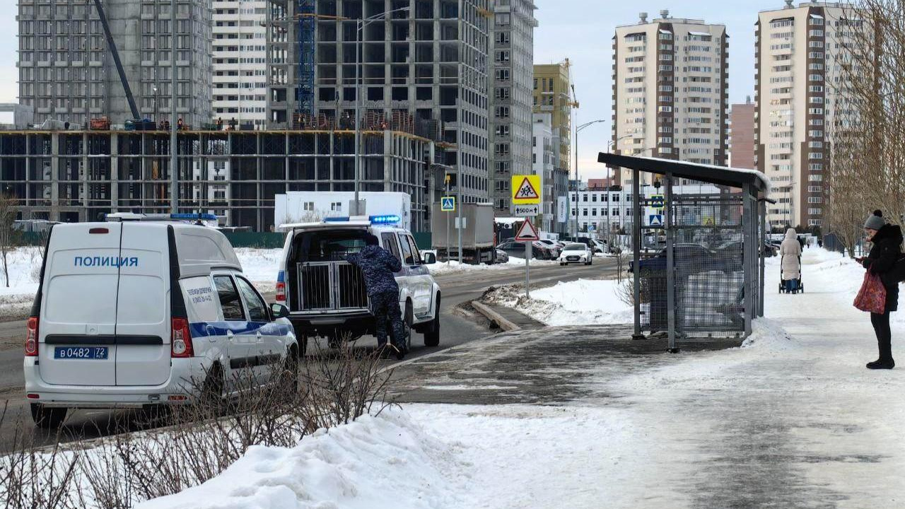 «Увидели какой-то прибор»: в Тюмени полиция с собаками проверяла остановку 