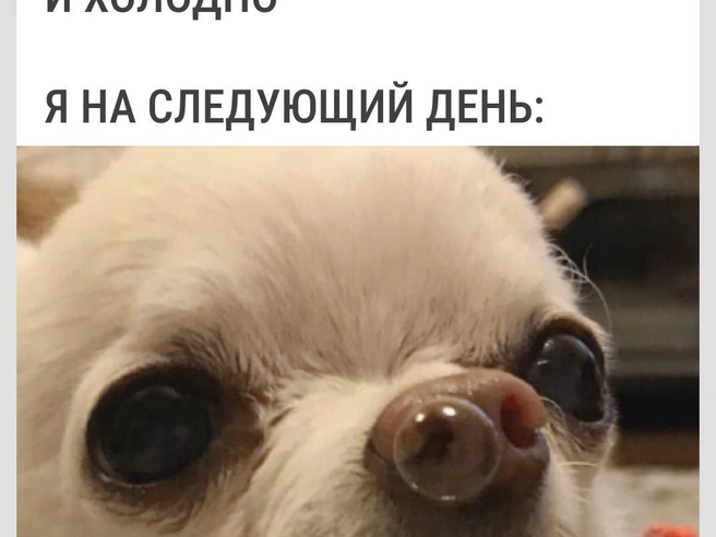 Уже шмыгаете? | Источник: Городские медиа