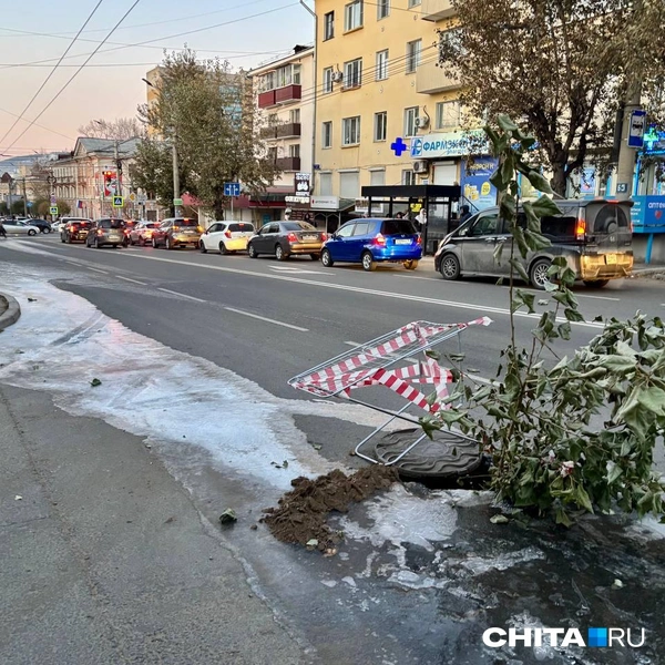 Источник: «Чита.Ру»
