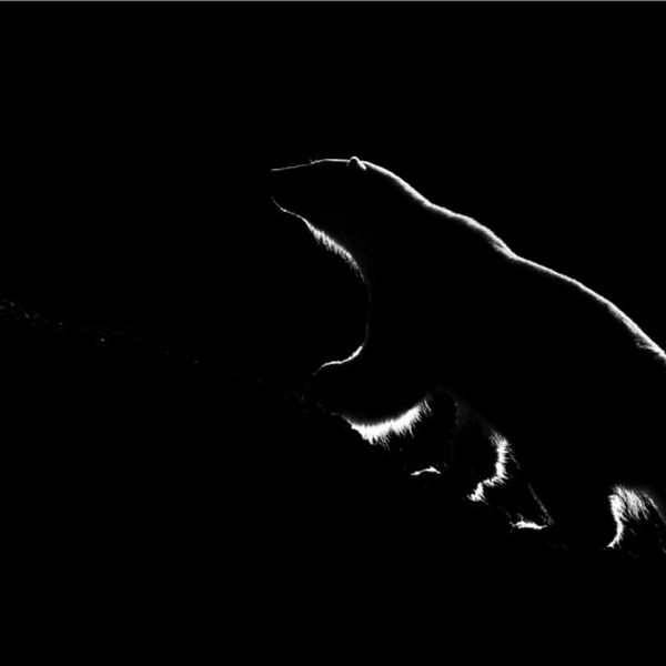 Источник: Phillip Hall / Exposure One Awards 2025