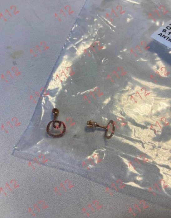 Фото сережек | Источник: 112 / Telegram