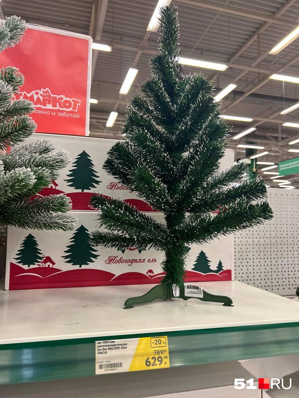 Источник: Александра Балаба