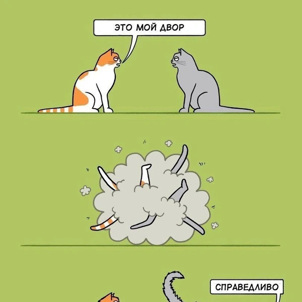 Источник: соцсети
