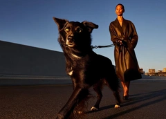 Вы удивитесь: почему на самом деле собаки не любят конкретных людей