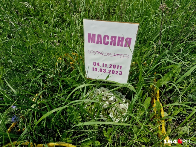 Тут покоится Масяня | Источник: Виктория Федорова / 164.RU