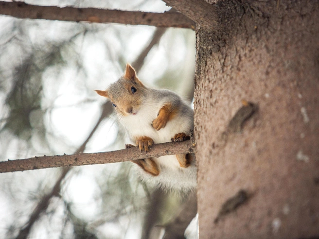 Жители Новосибирска встречают теплый фронт | Источник: Александр Ощепков / NGS.RU