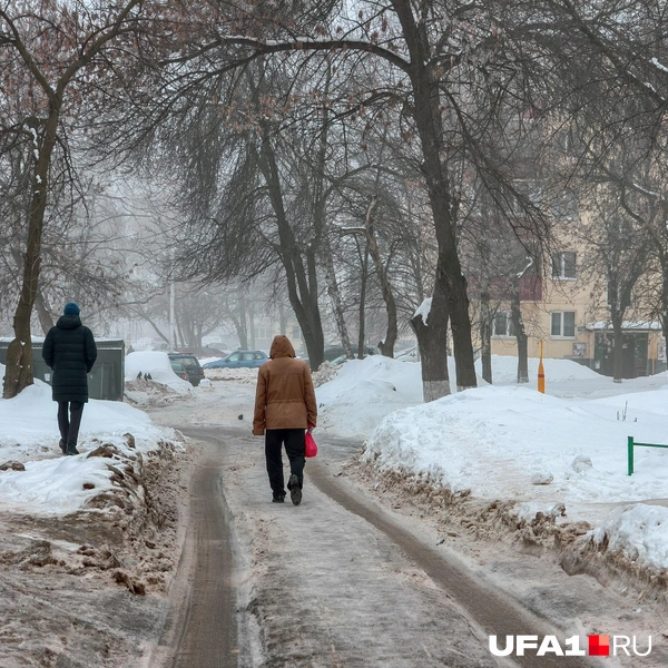 Как ни в чем ни бывало, идут по своим делам | Источник: Булат Салихов / UFA1.RU