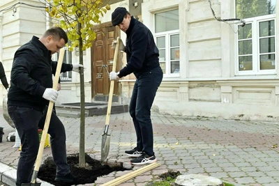 Малков: деревья посадят 15 и 16 октября