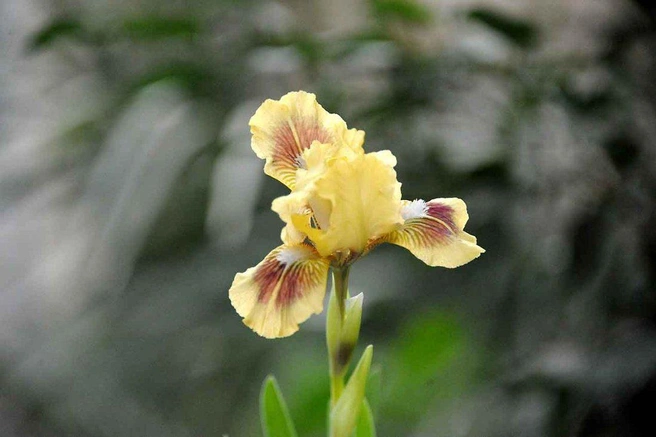 Источник: Денис Гуков