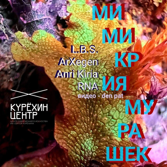 «Ритмизация шумовых явлений» откроет «Мимикрию мурашек» в Центре Курехина | Источник: предоставлено организаторами