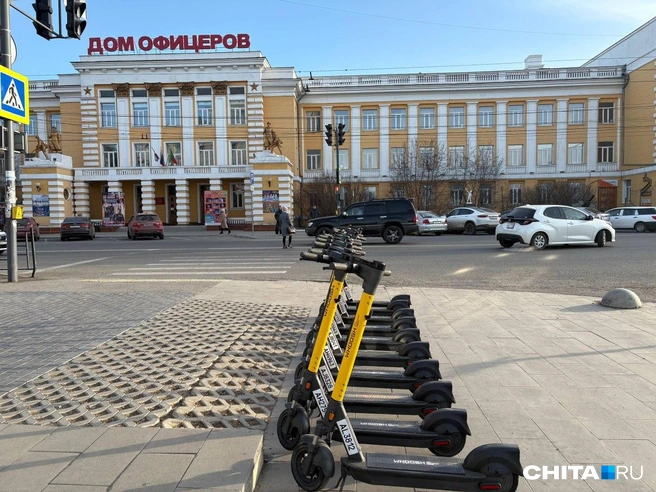 Прокат электросамокатов возобновили с 1 апреля | Источник: CHITA.RU