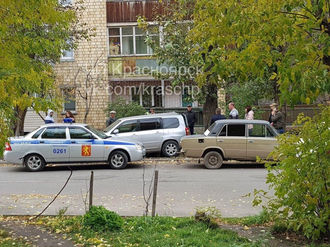 Мужчина дважды въехал в дерево | ngs24.ru