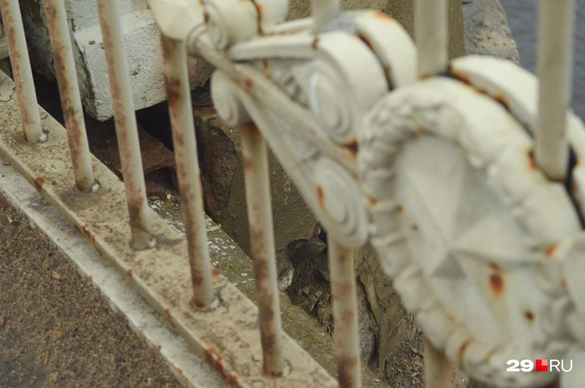 Источник: Антон Данилов / 29.RU