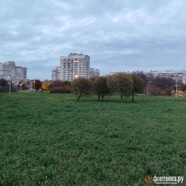 Парк Строителей в Невском районе Петербурга | Источник: Фонтанка.ру