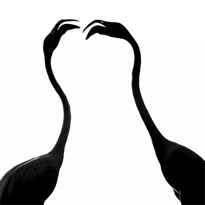 Источник: Khaldoon Aldway / Fine Art Photography Awards 2026