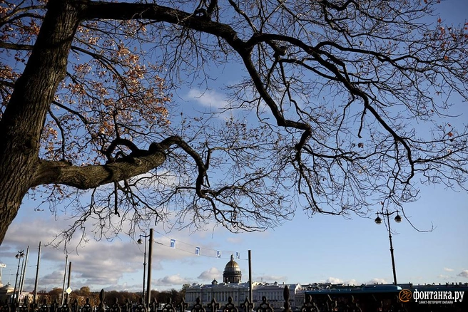В Петербурге сохраняется аномальное тепло. Придут ли после этого холода | Источник: Сергей Михайличенко / «Фонтанка.ру»