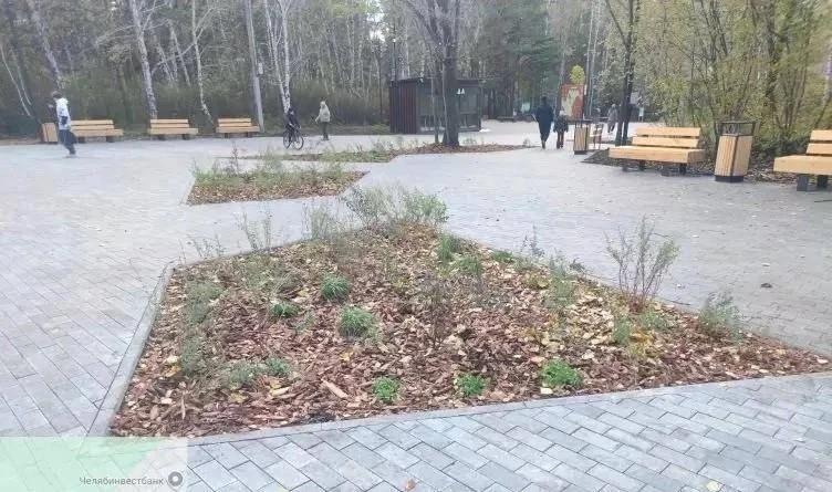 В администрации ответили на претензии челябинцев к озеленению Экопарка на Северо-Западе
