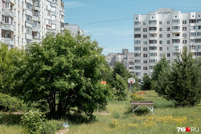 Игровая площадка посреди зелени и кустов | Источник: Александр Куренной / 76.RU