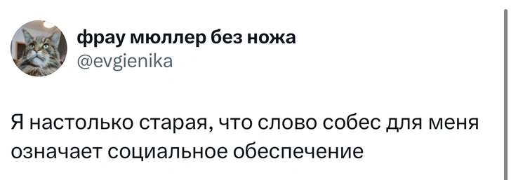 Источник: X (Twitter)