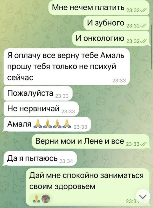 Скриншот переписки волонтеров | Источник: Читатель 161.RU