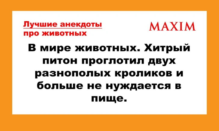 Лучшие анекдоты про животных, выпуск 2 | maximonline.ru