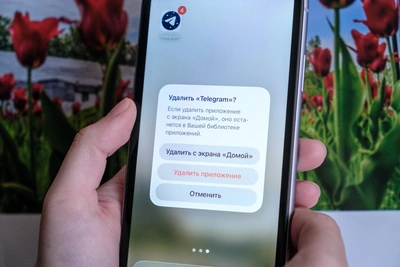 В России могут ослабить блокировку Telegram