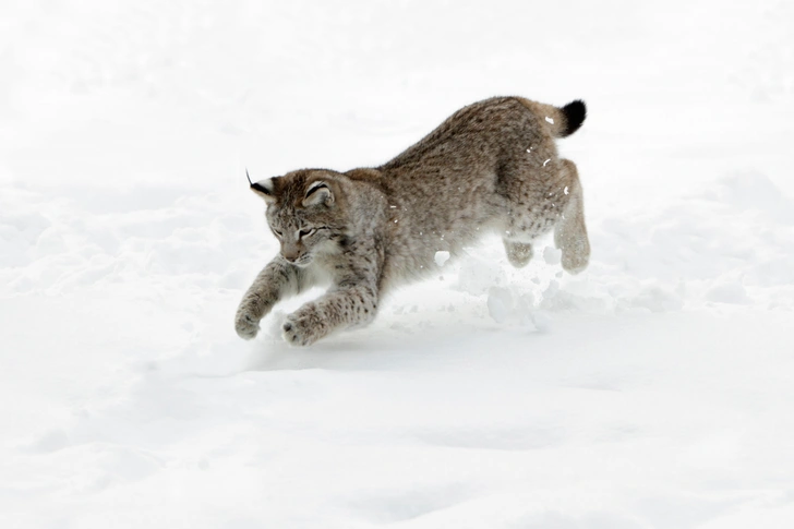 Источник: Duncan Usher / Alamy via Legion Media