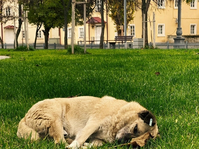 Источник: Юлия Воропаева