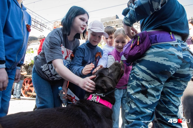 Они с радостью гладили служебную собаку | Источник: Надежда Тихомирова / 45.RU