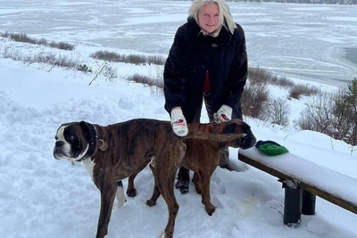 Экс-министр Австрии о Гренландии и Украине